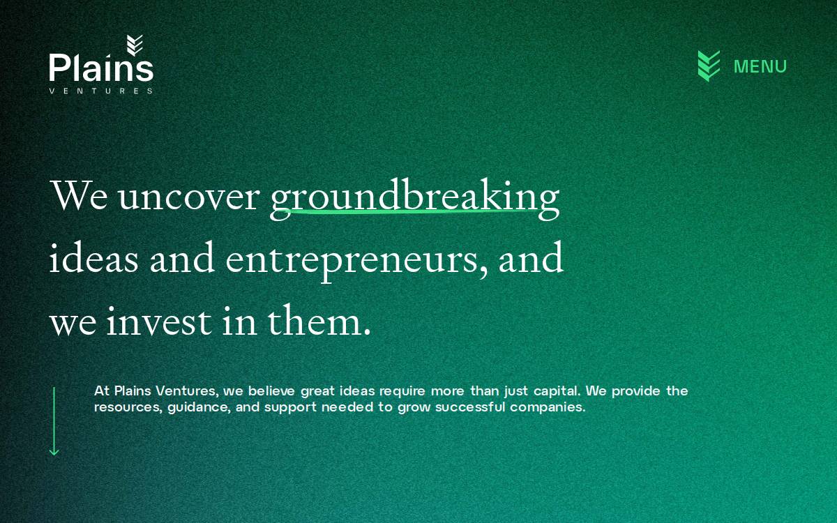 Plains Ventures website preview