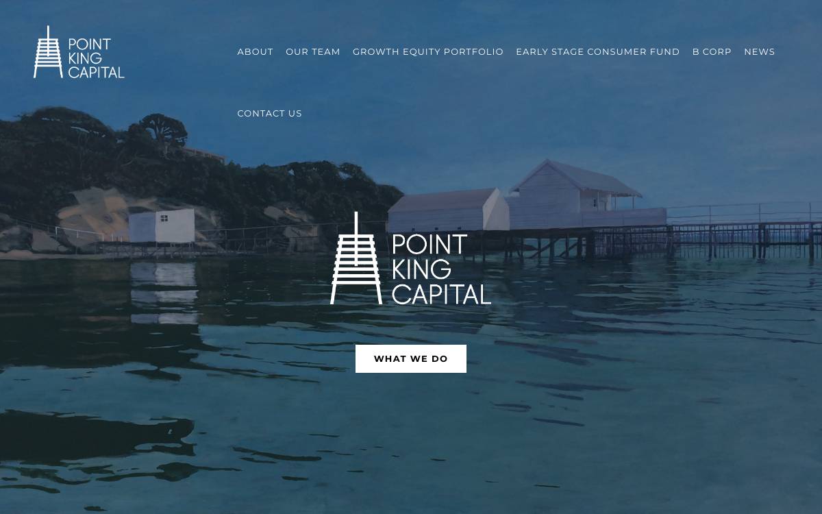 Point King Capital website preview