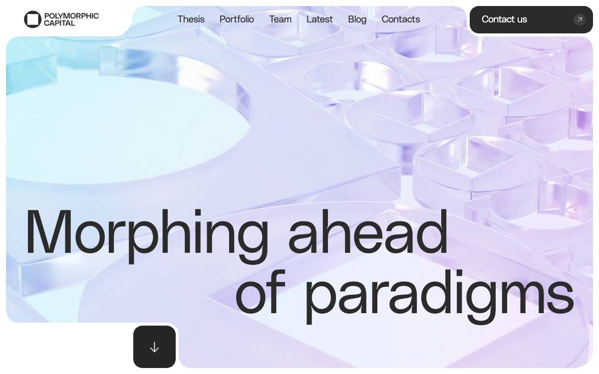 Polymorphic Capital website preview