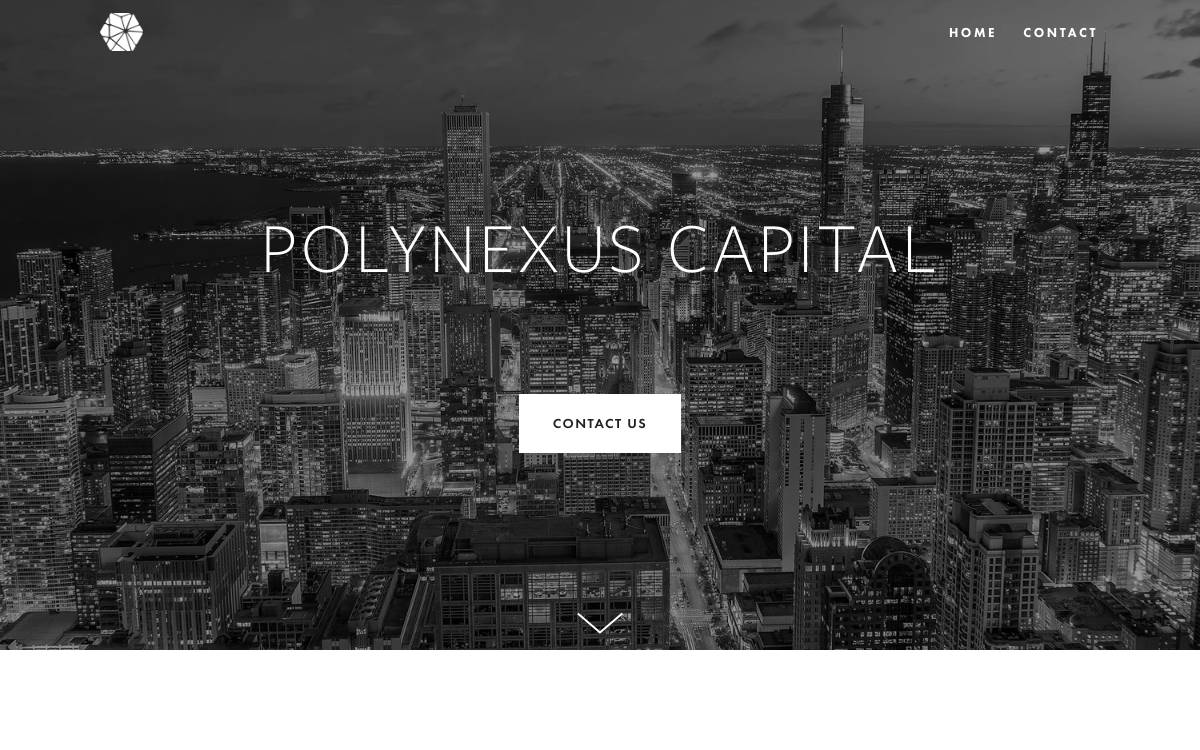 Polynexus Capital website preview