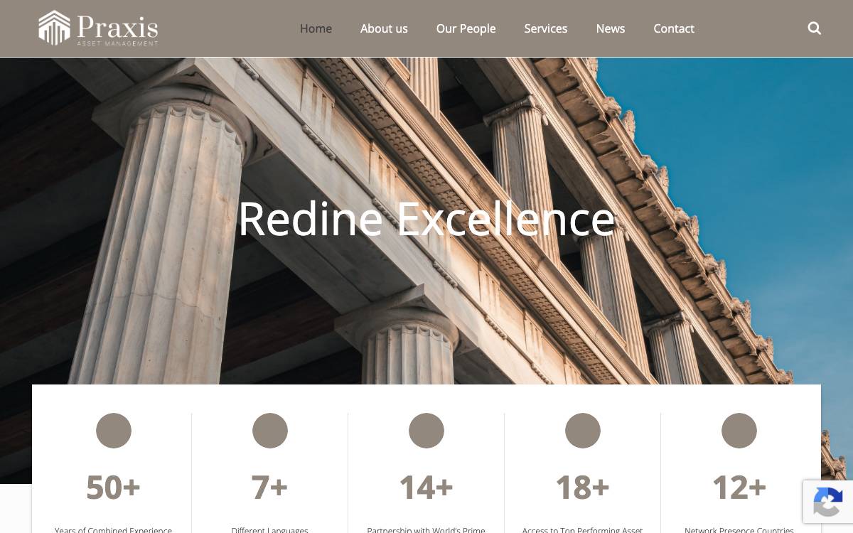 Praxis Asset Management website preview