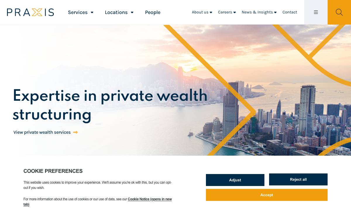 Praxis website preview