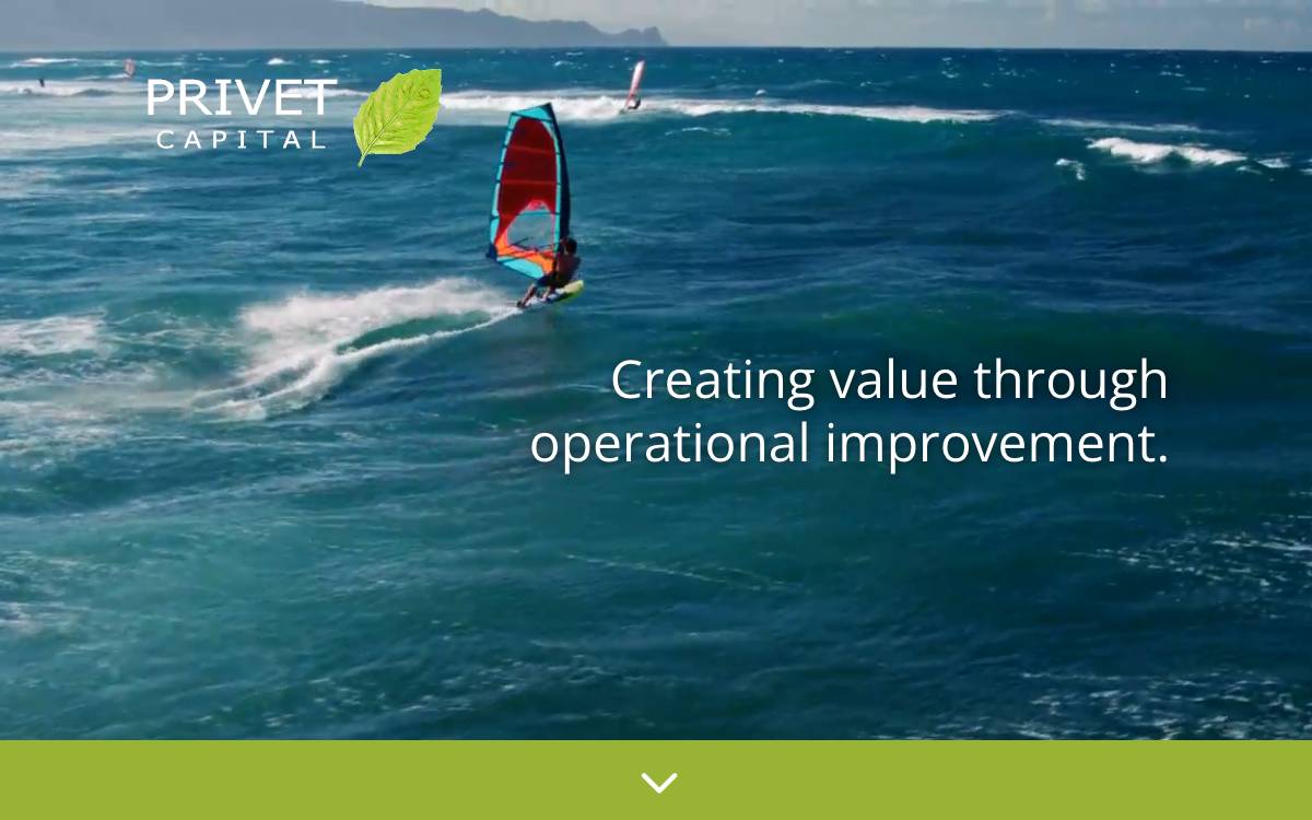 Privet Capital website preview
