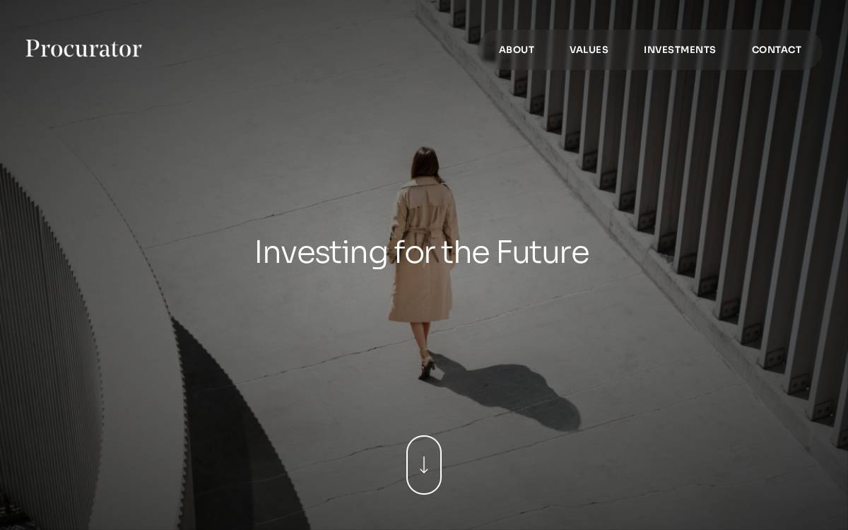 Procurator Holdings website preview