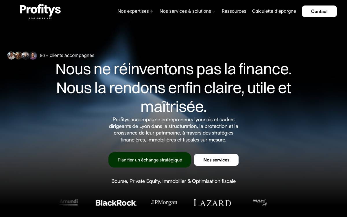Profitys website preview