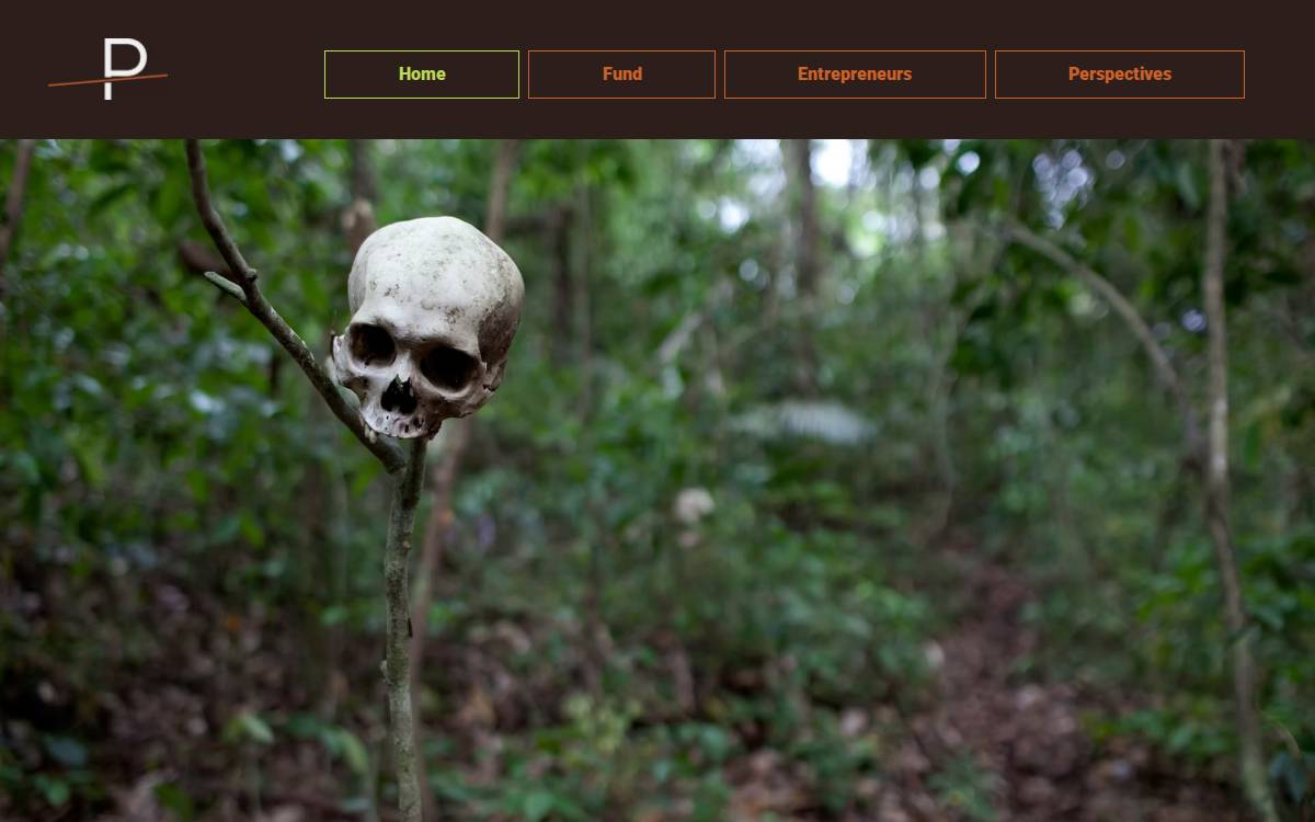 Prohibited Capital website preview