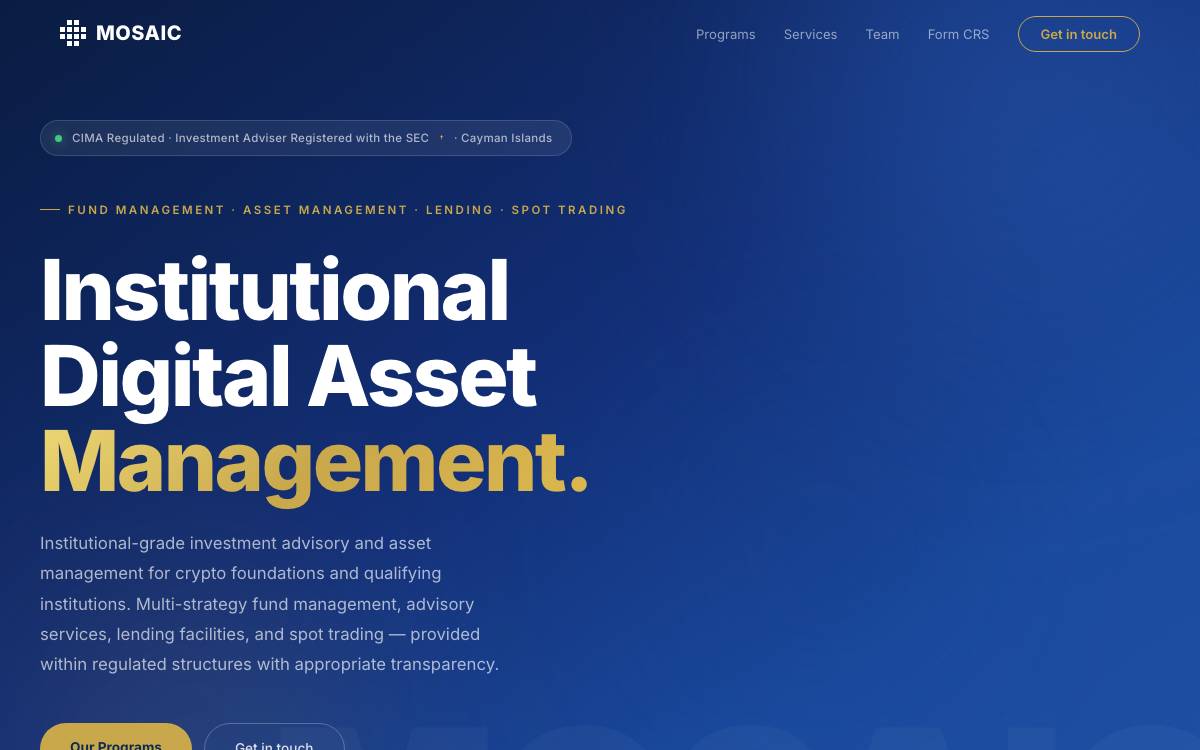 Protos Management website preview