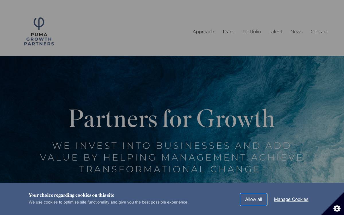 Puma Private Equity website preview