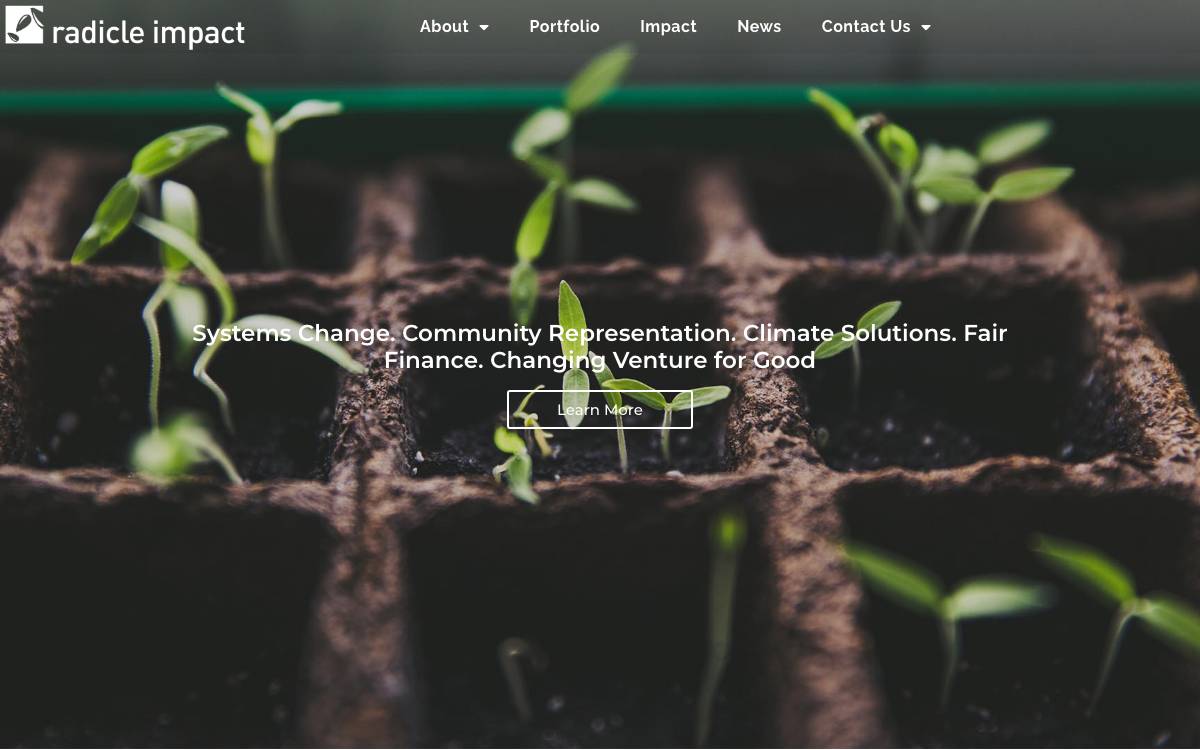 Radicle Impact website preview