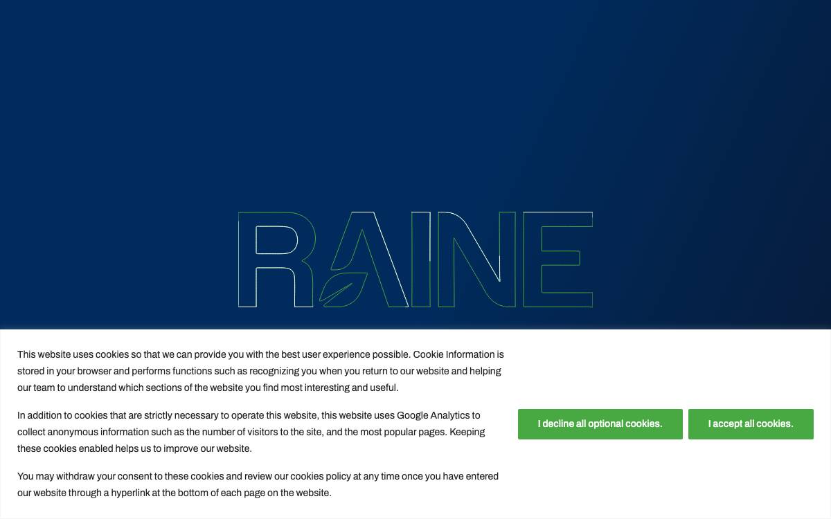 Raine website preview