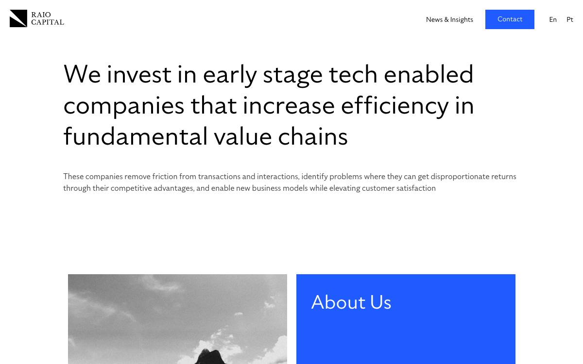 Raio Capital website preview