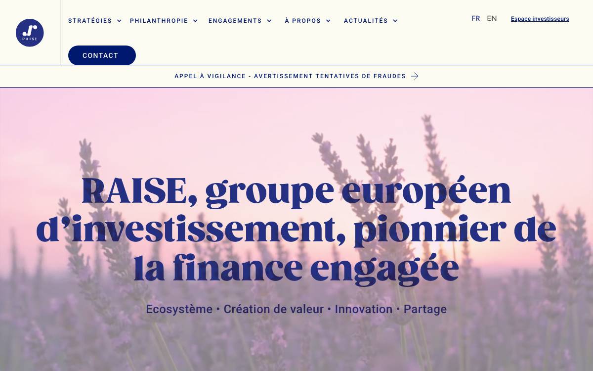 RAISE website preview