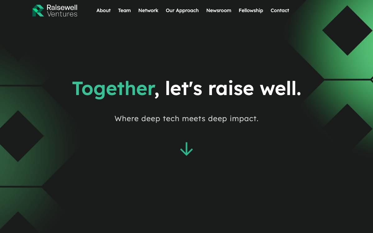 Raisewell Ventures website preview