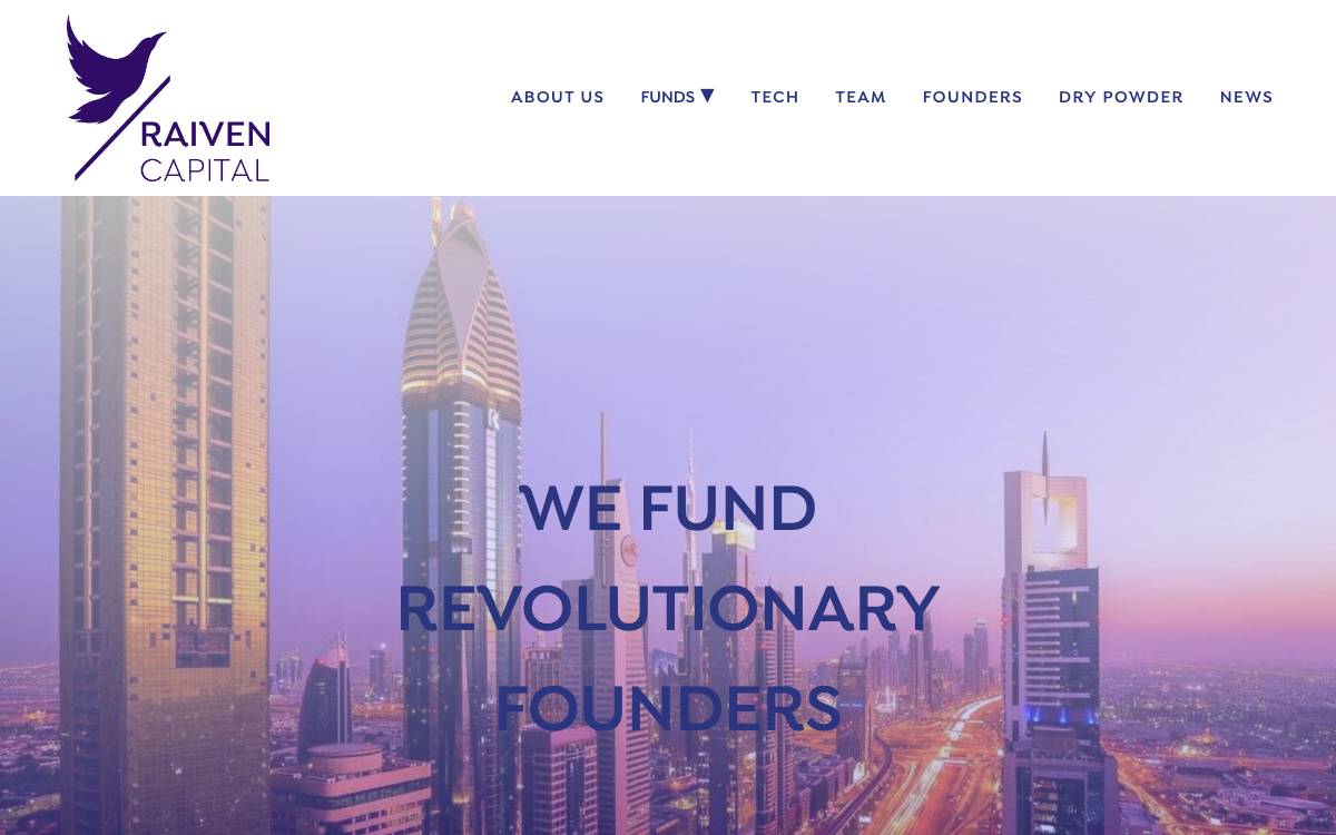 Raiven website preview