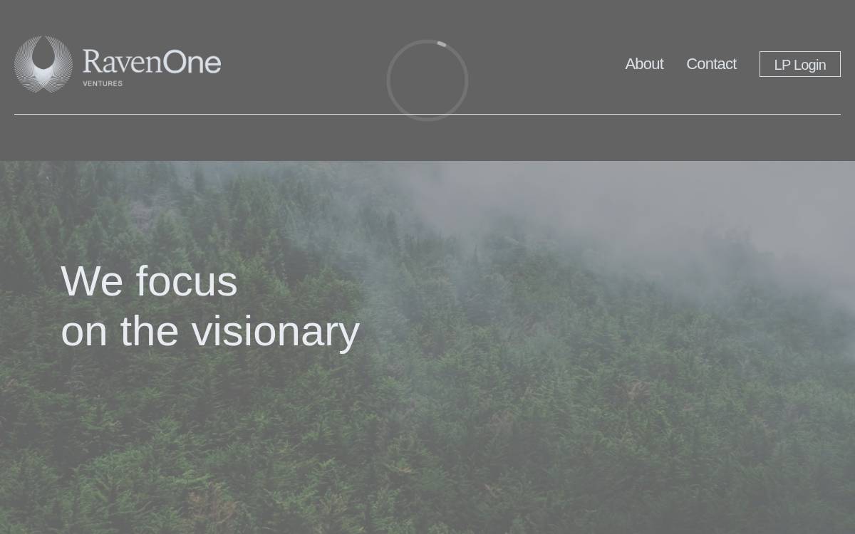 Raven One Ventures website preview