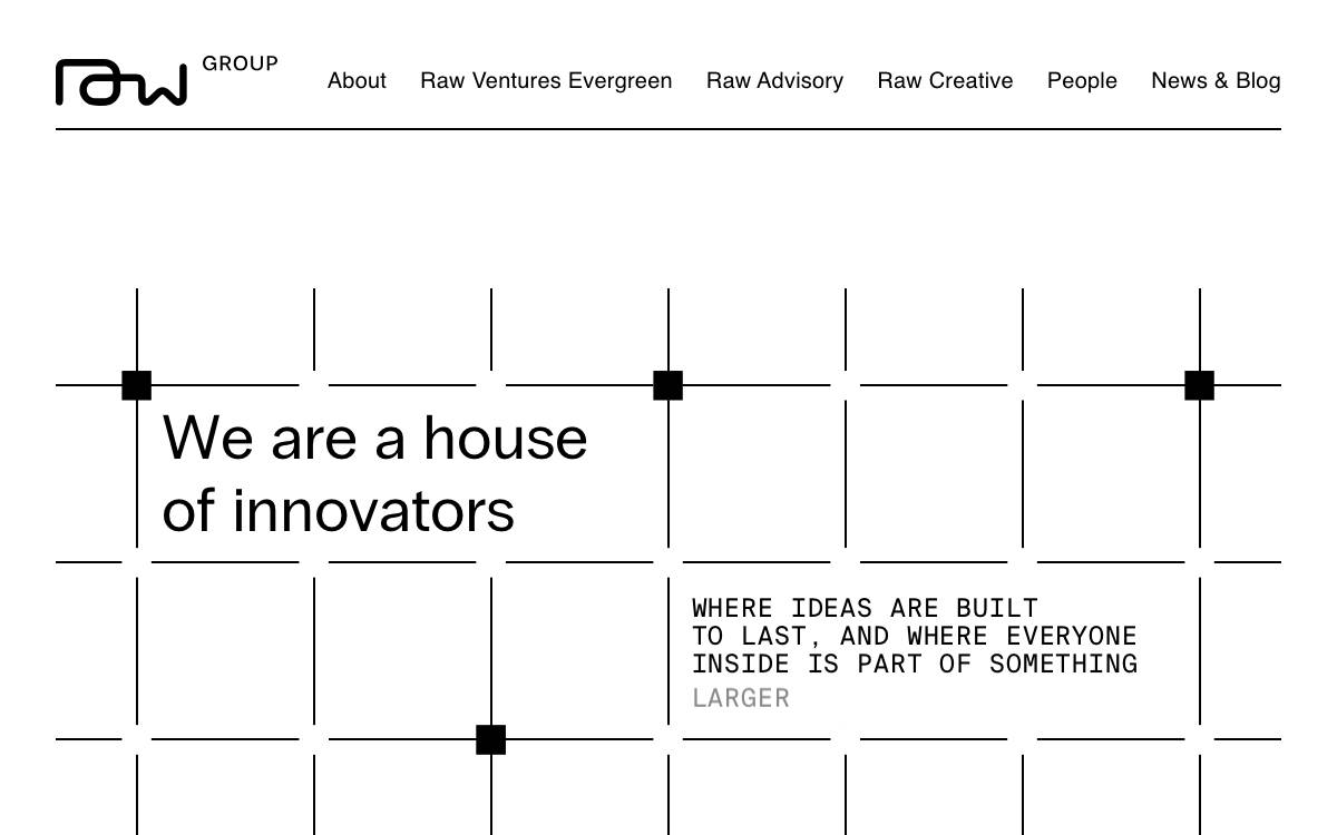 Raw Ventures website preview