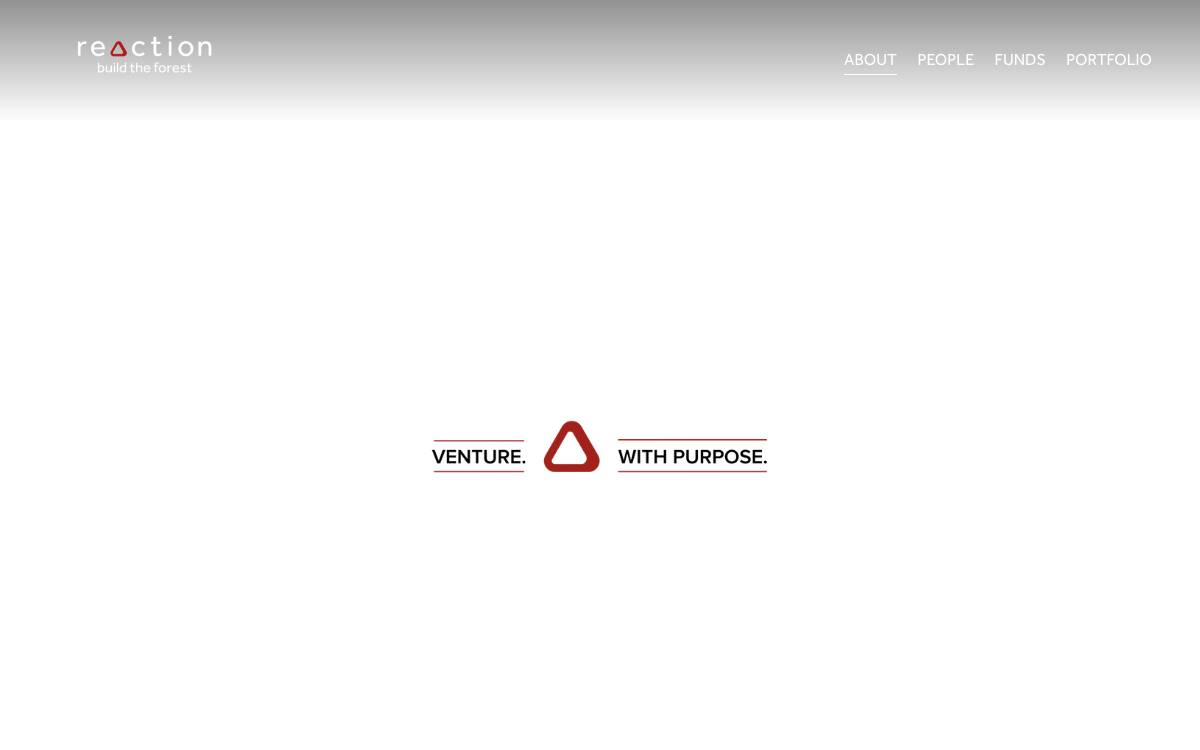 Reaction website preview