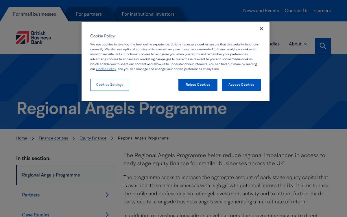 Regional Angels Programme website preview