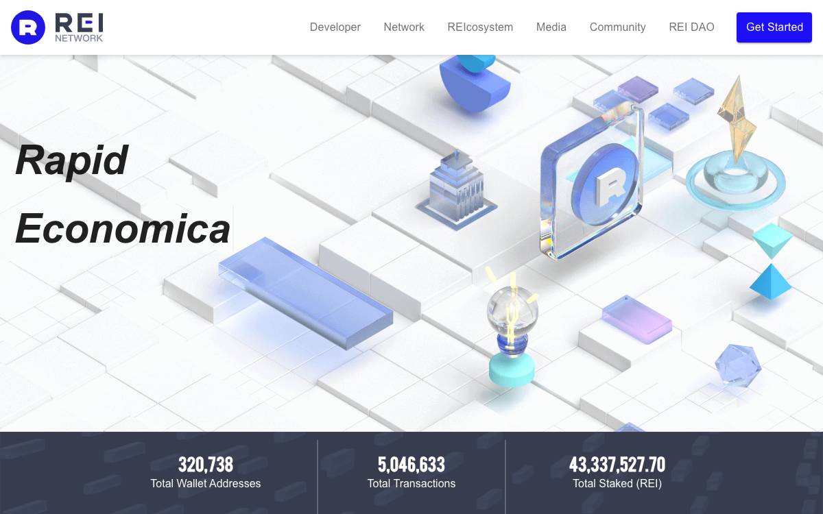 REI Network website preview