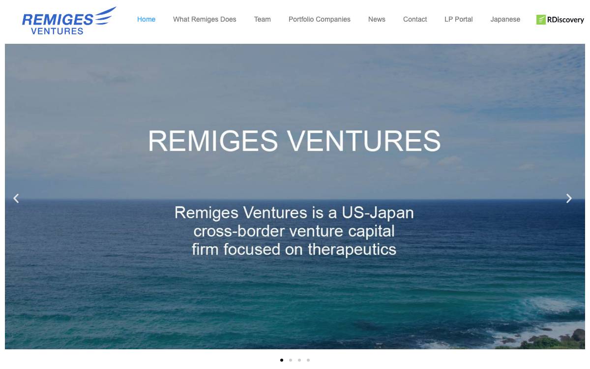 Remiges Ventures, Inc. website preview