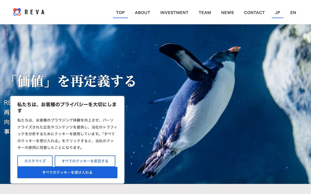 REVA website preview