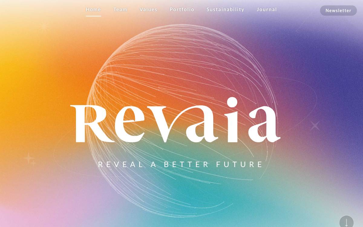 Revaia website preview