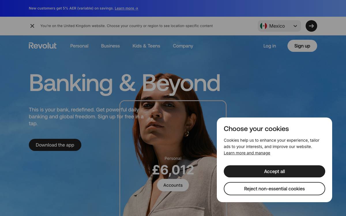 Revolut website preview