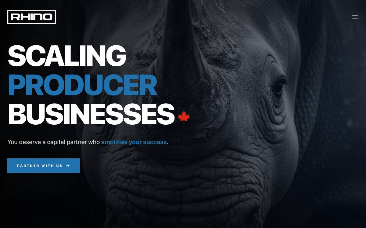 Rhino Ventures website preview