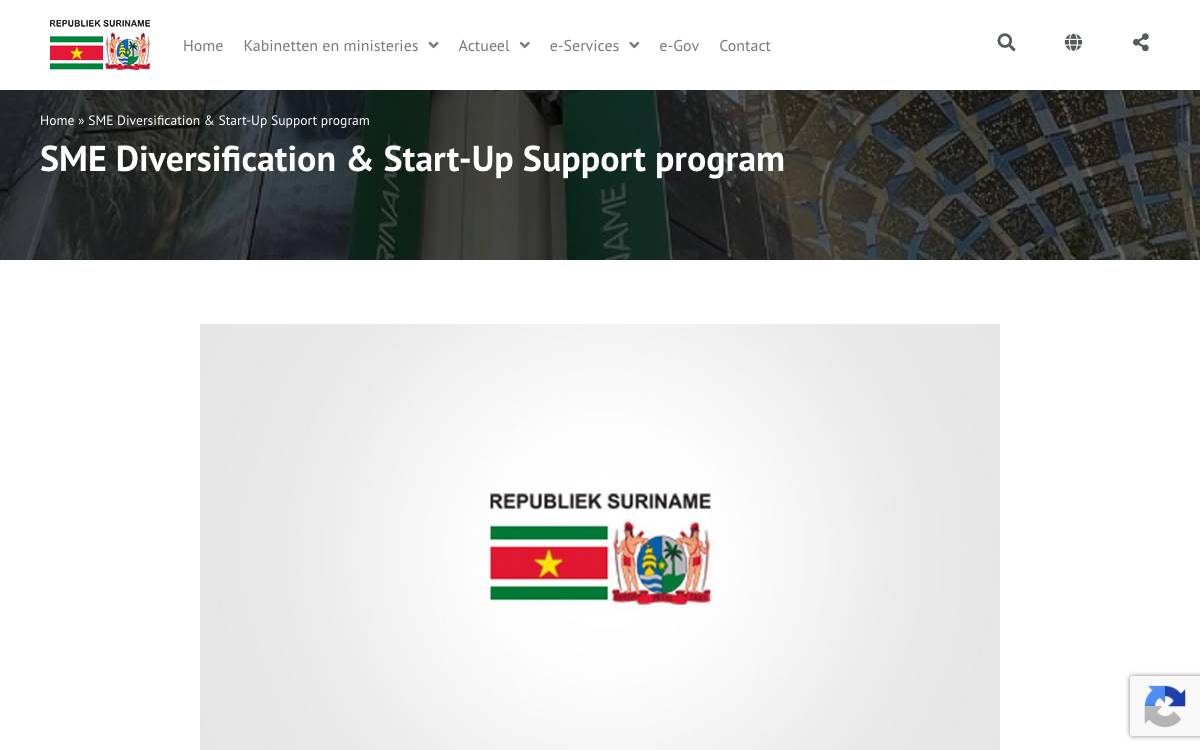 RISE / SME Diversification & Start-Up Support Program website preview