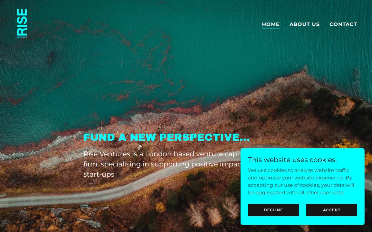 Rise Ventures website preview