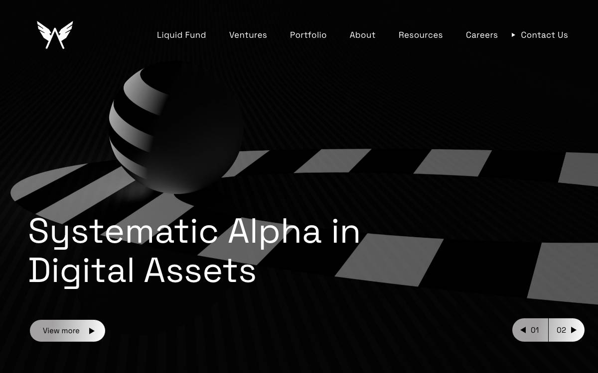 Rising Capital website preview
