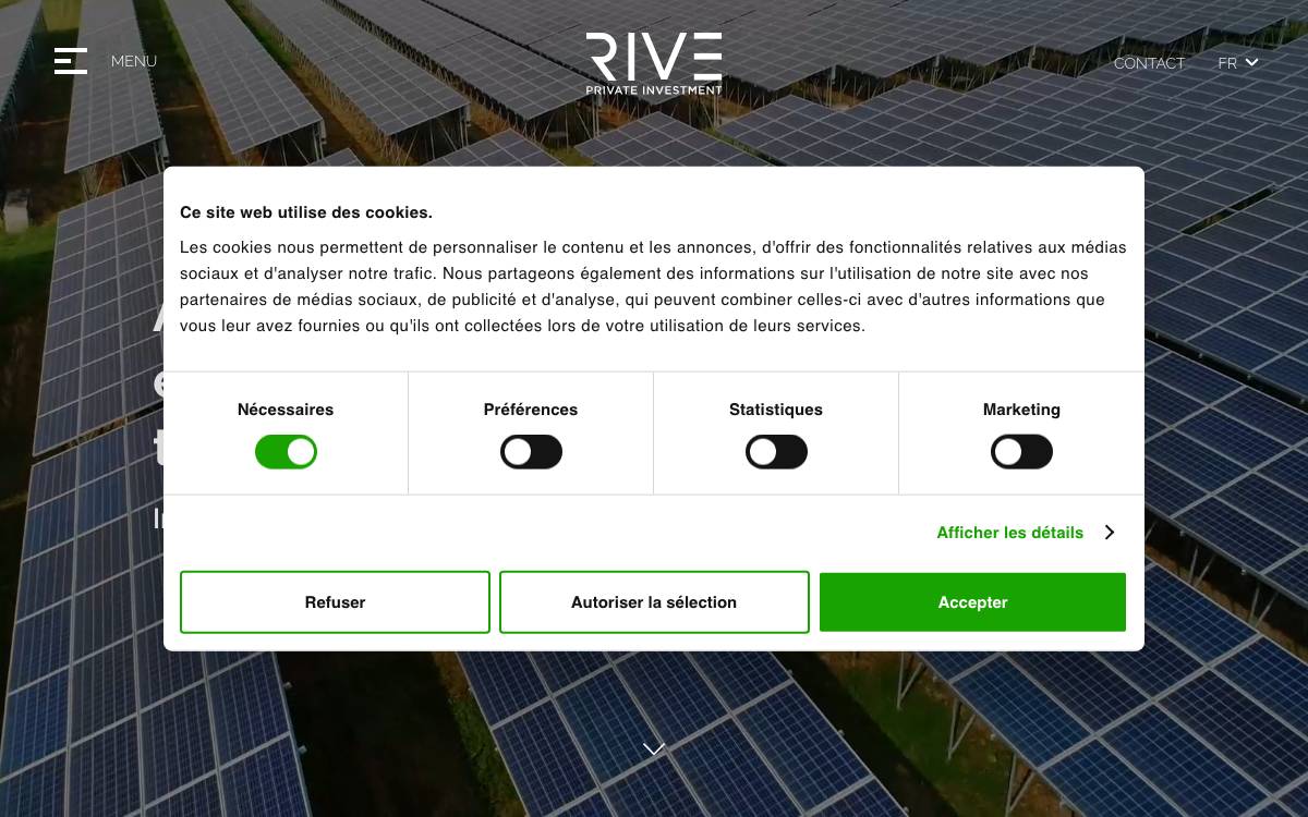 Rive Private Investment website preview
