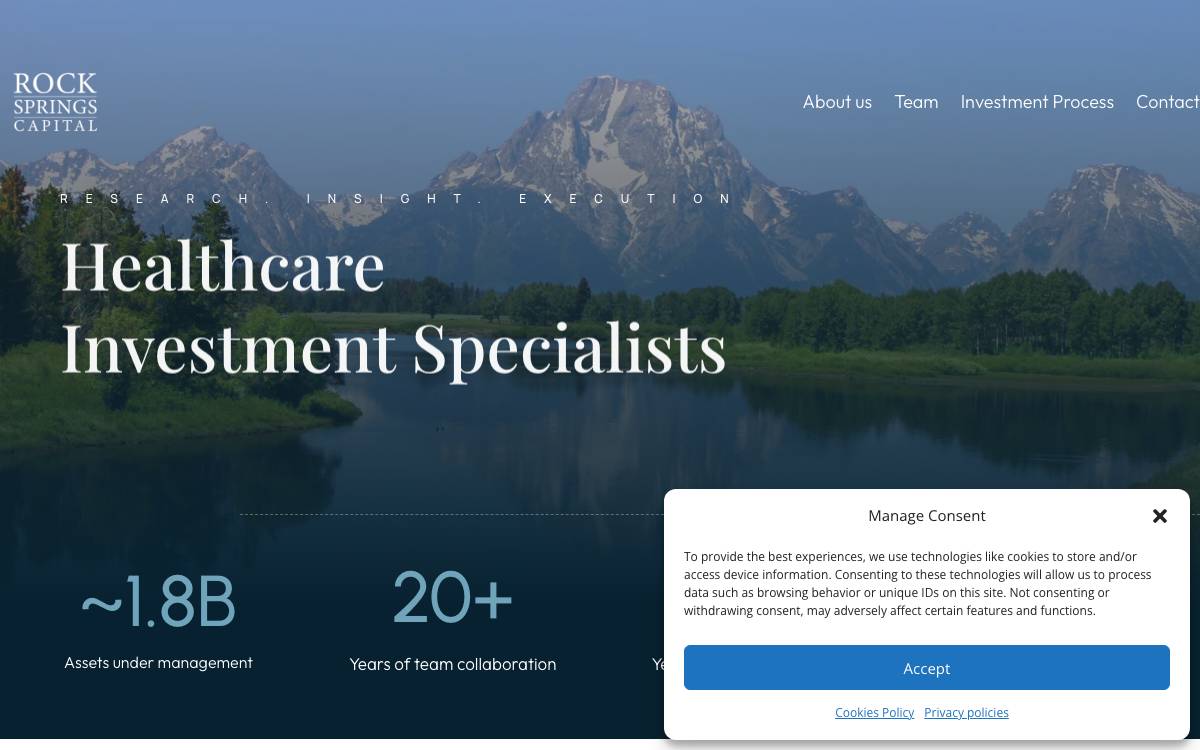 Rock Springs Capital website preview