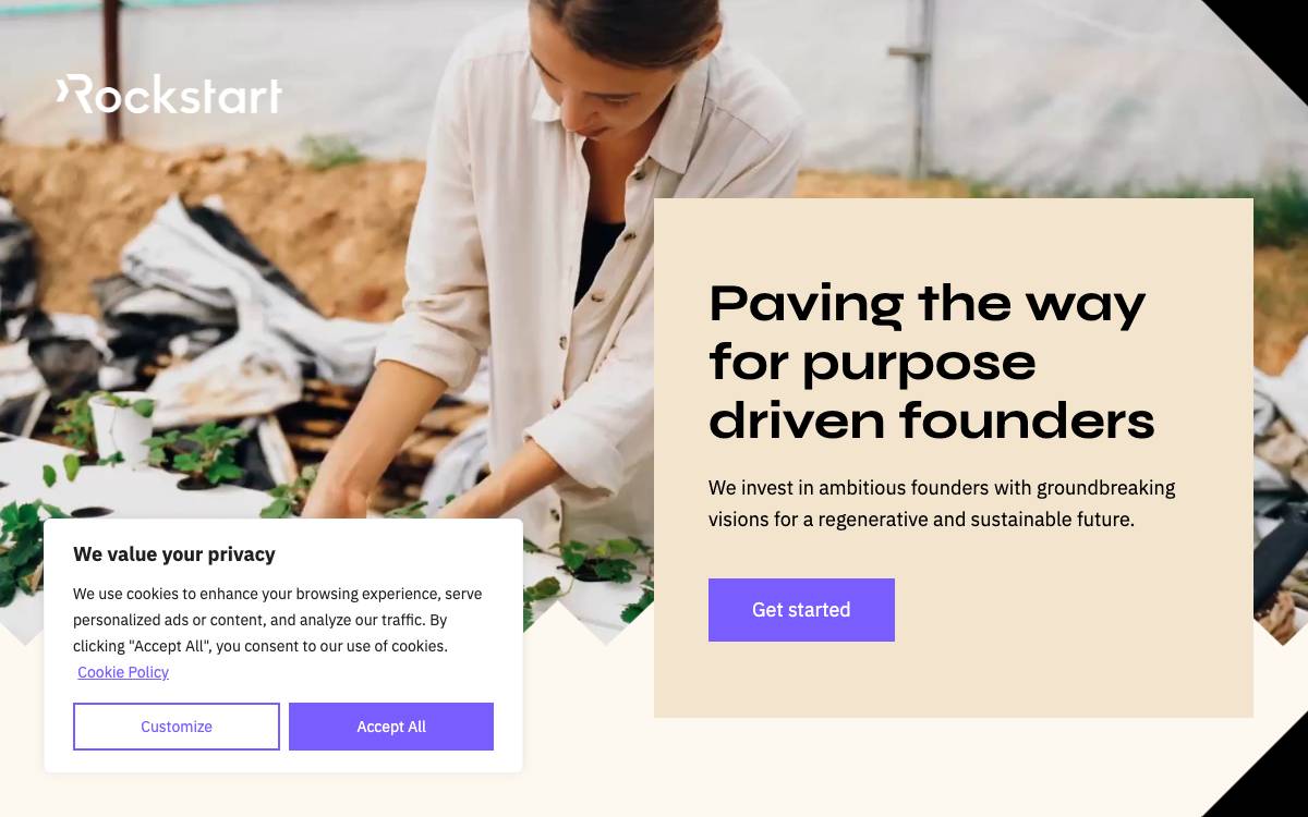 Rockstart website preview