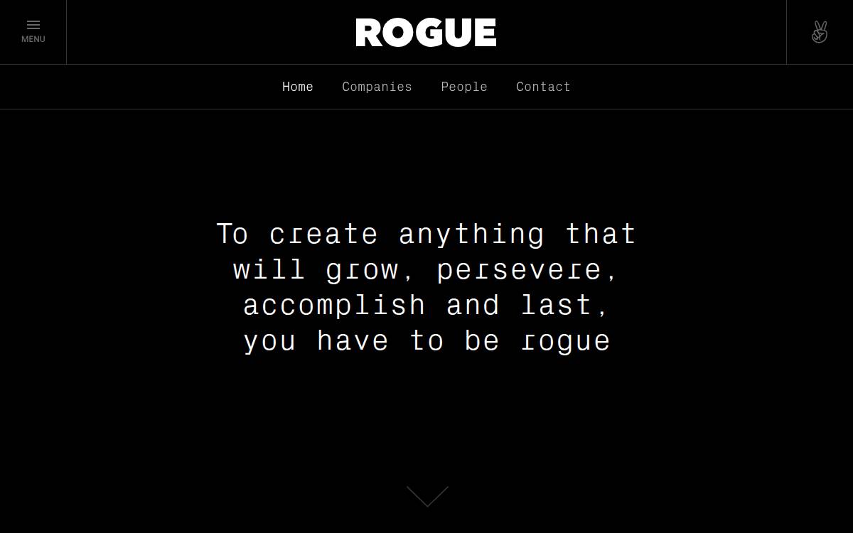 Rogue Capital website preview