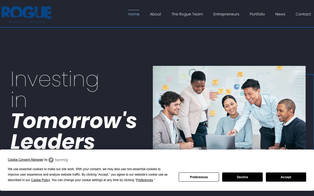 Rogue Insight Capital website preview