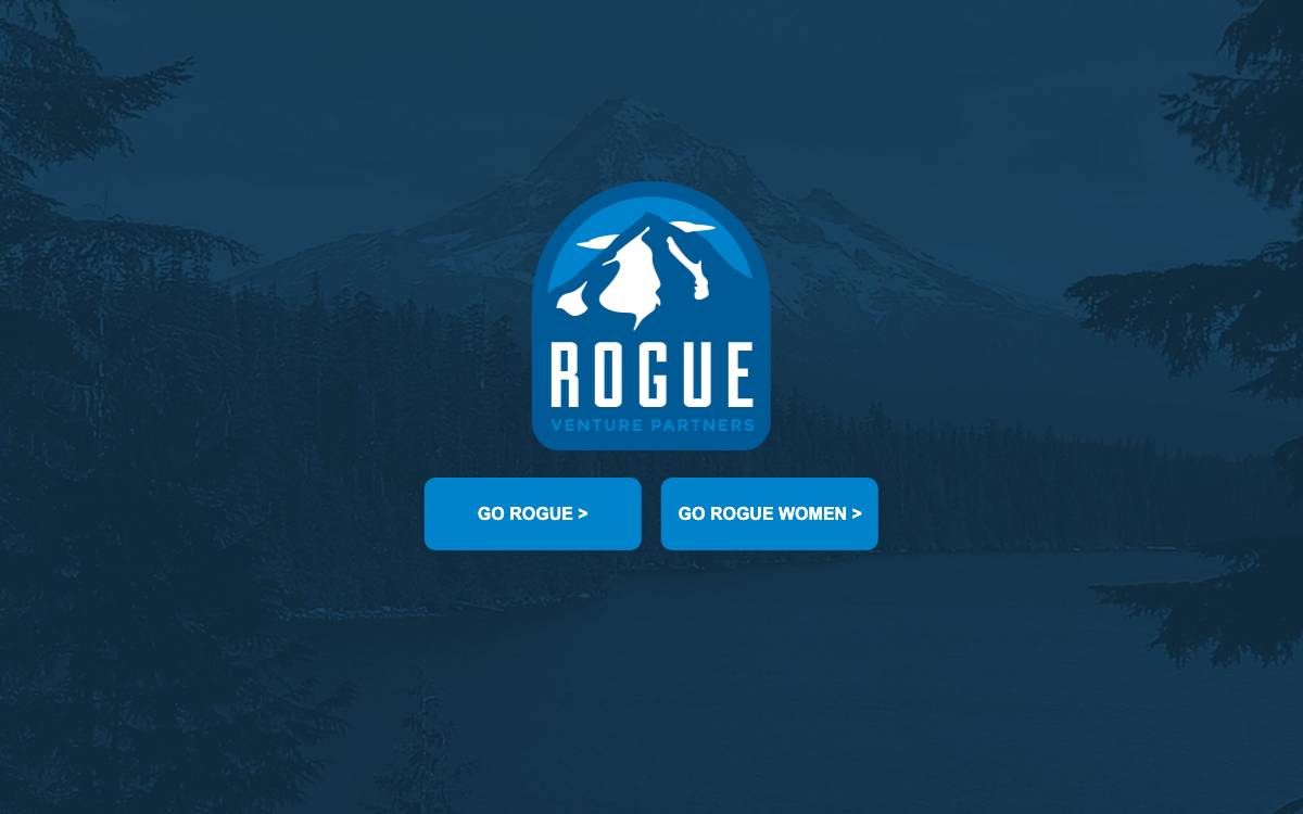 Rogue Venture Partners website preview