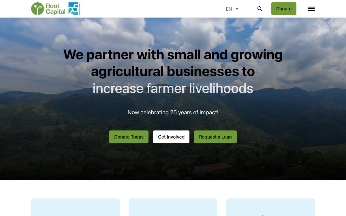 Root Capital website preview