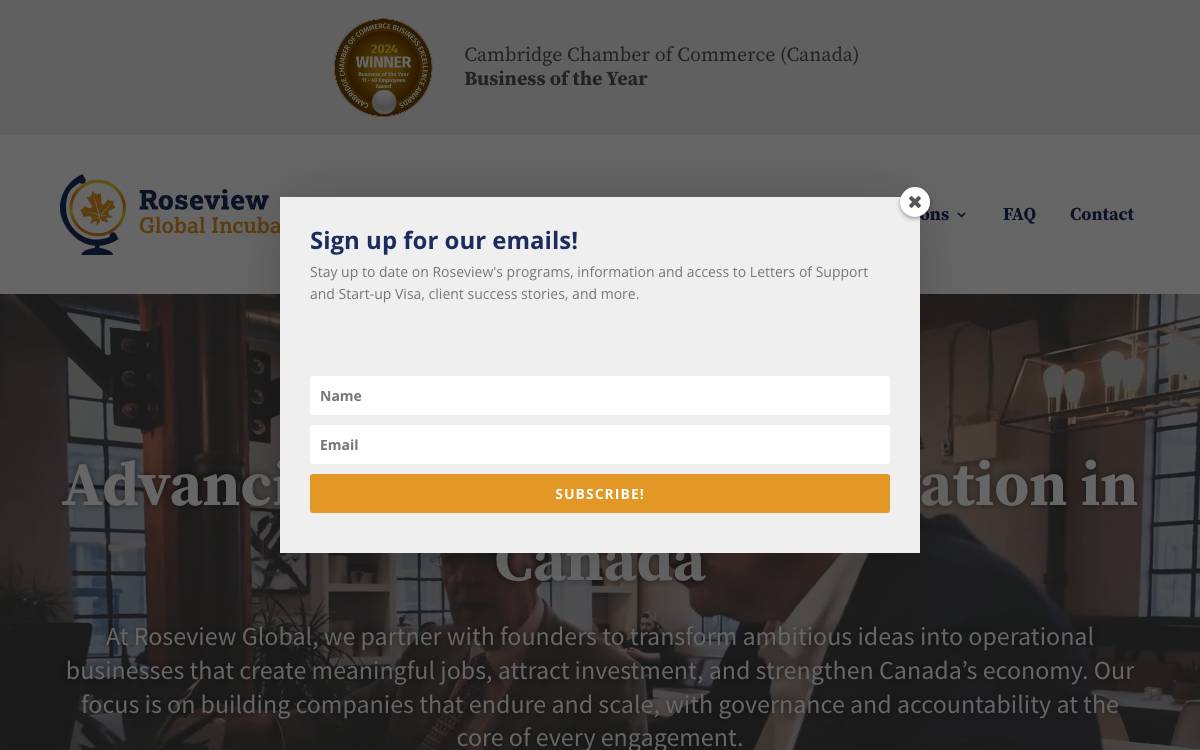 Roseview Global Incubator website preview