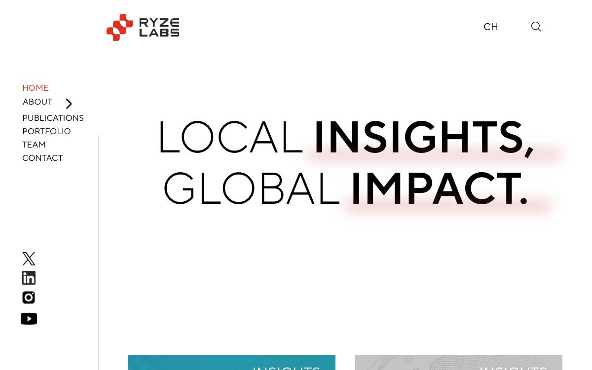 Ryze Labs website preview