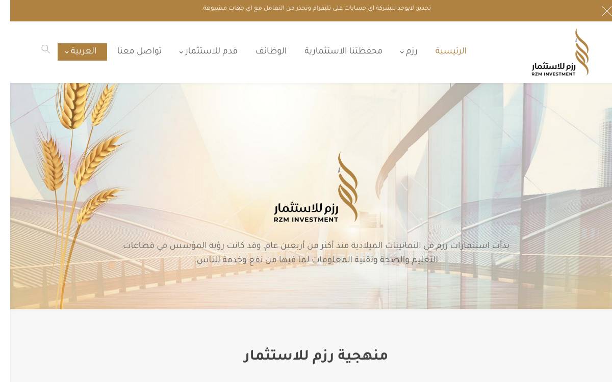 RZM Investments website preview