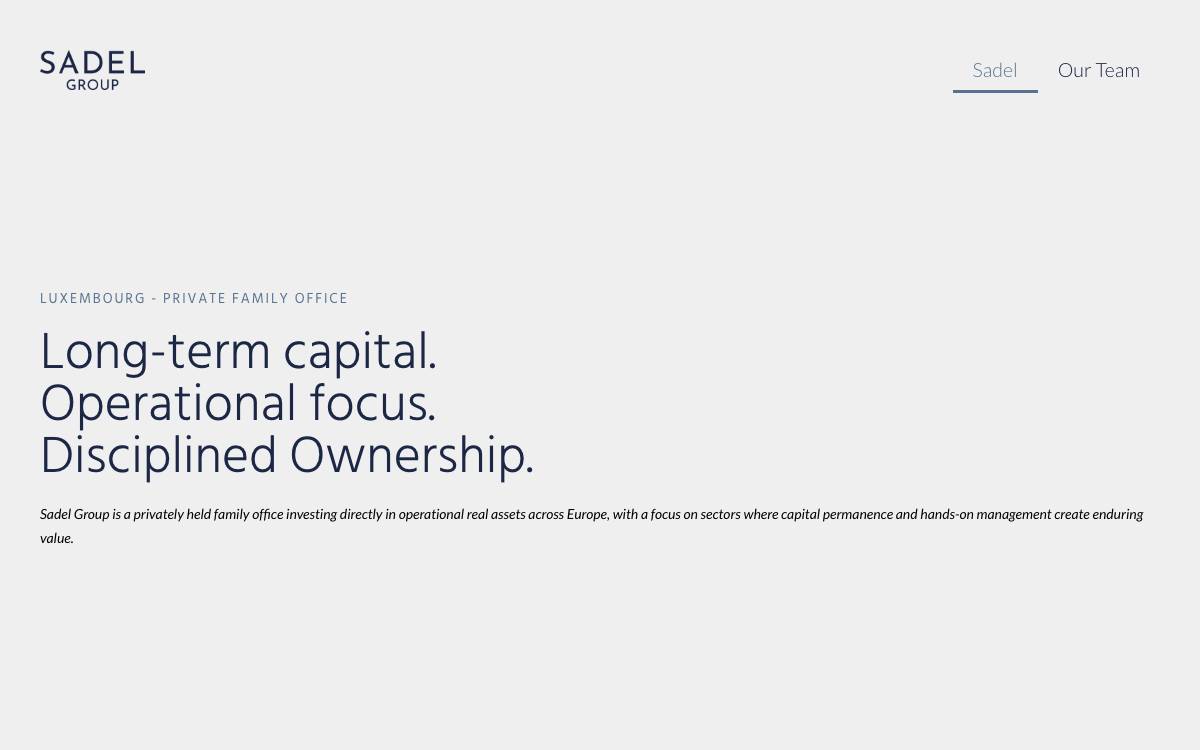 Sadel Group website preview