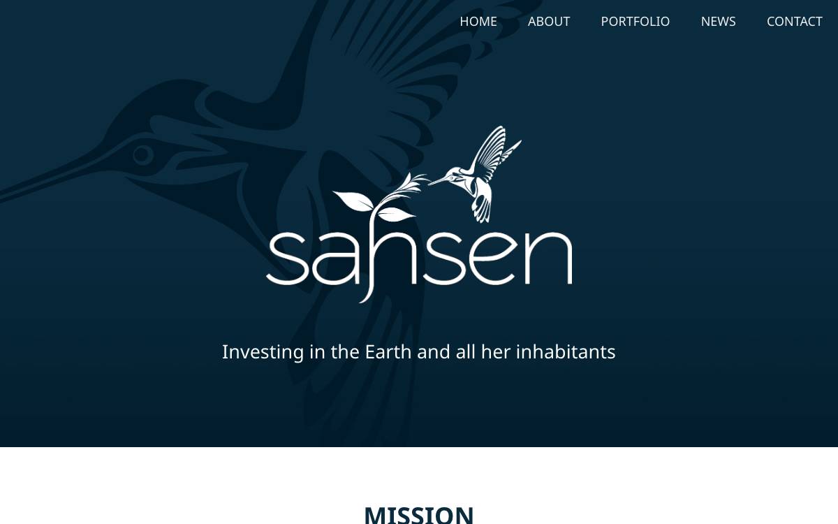 Sahsen Ventures website preview