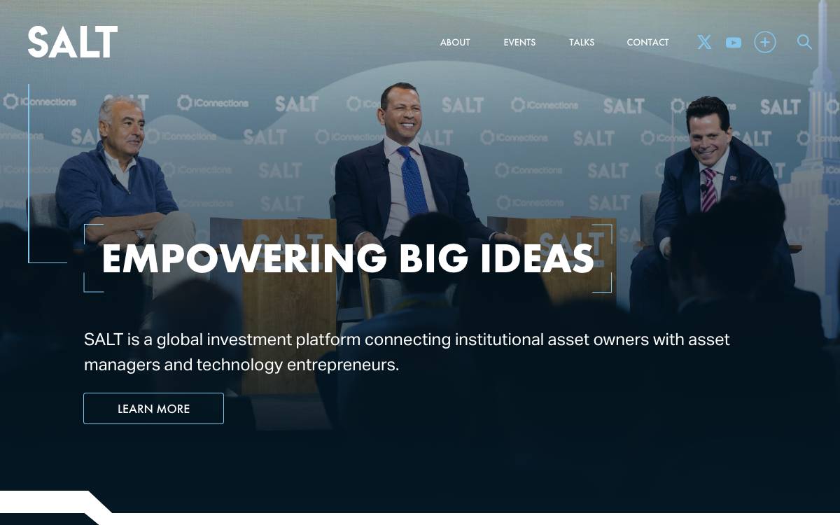 SALT Fund website preview