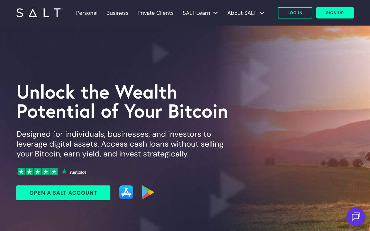 SALT website preview