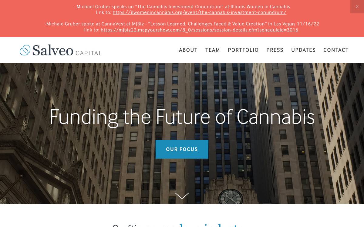 Salveo Capital website preview
