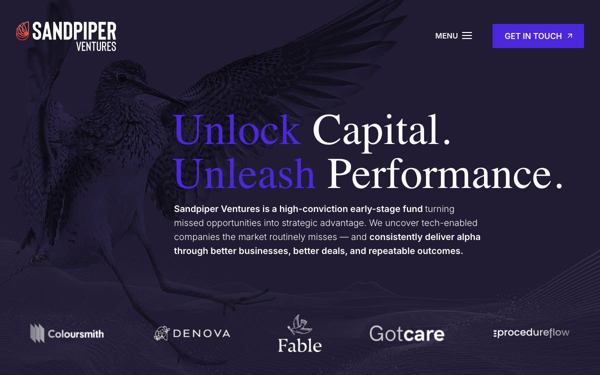 Sandpiper Ventures website preview
