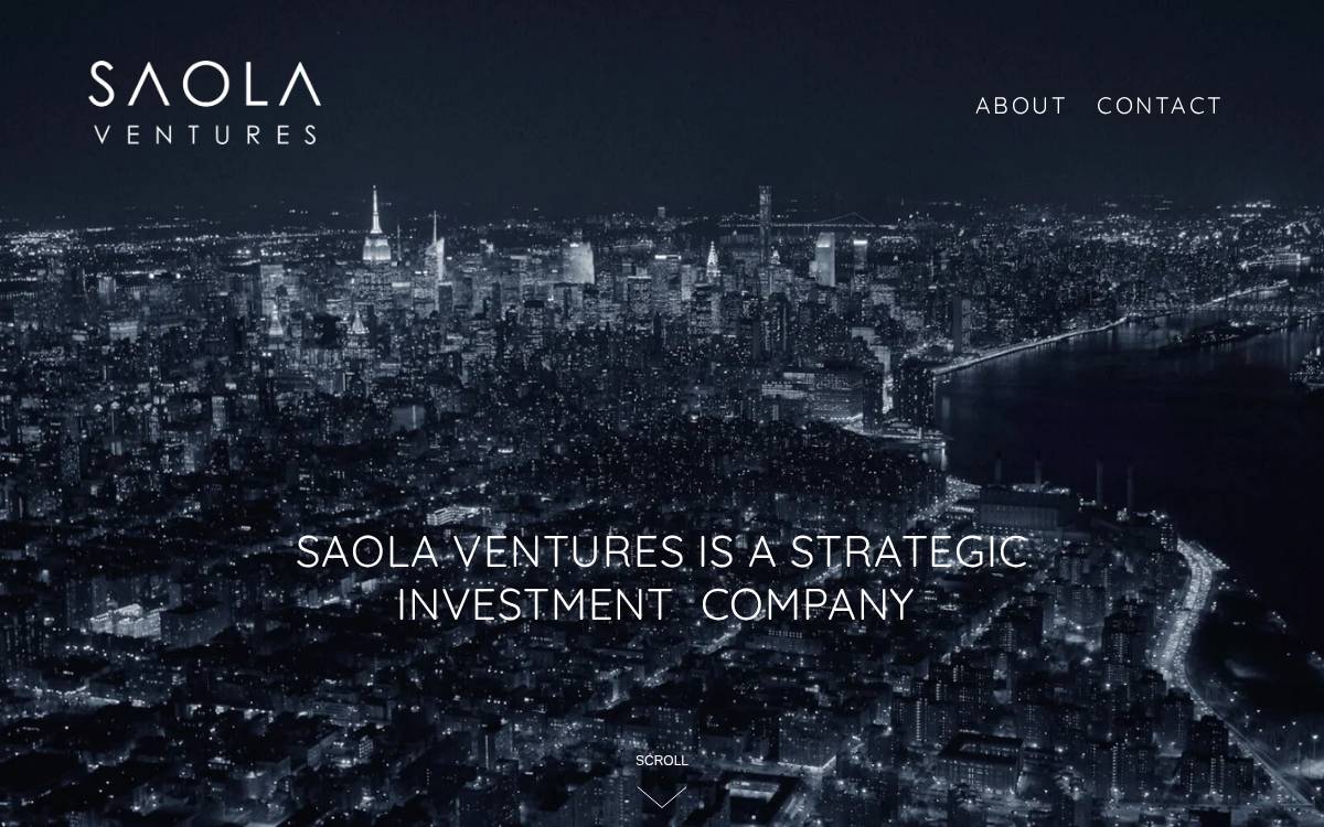 Saola Ventures website preview