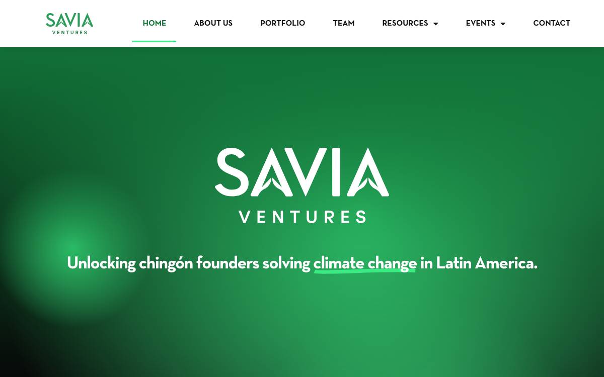 Savia Ventures website preview
