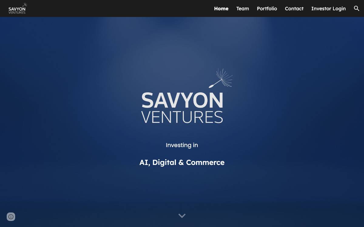 Savyon Ventures website preview